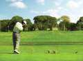 Cornelia Diamond - 7 Nights, 6x Golf: 4 x Faldo 1 Cullinan Links, 1 Maxx Montgomerie Golf Course