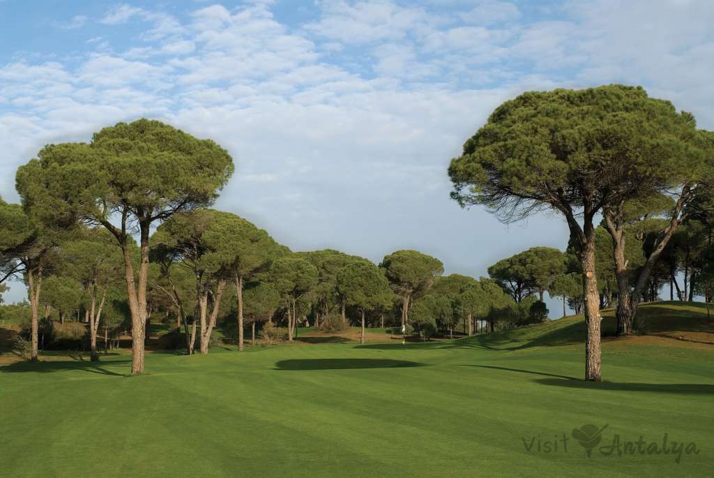 Cornelia Faldo Course