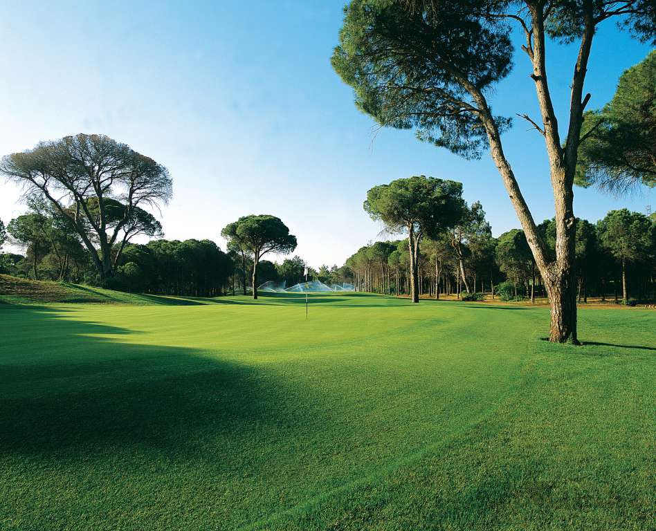 Cornelia Faldo Course