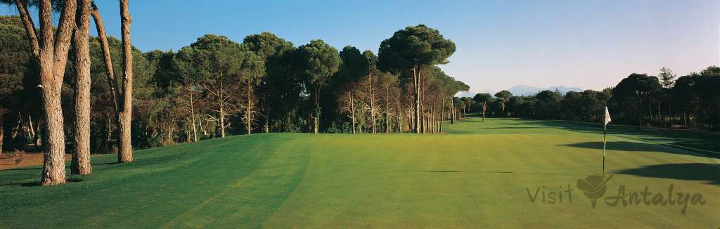 Cornelia Faldo Course