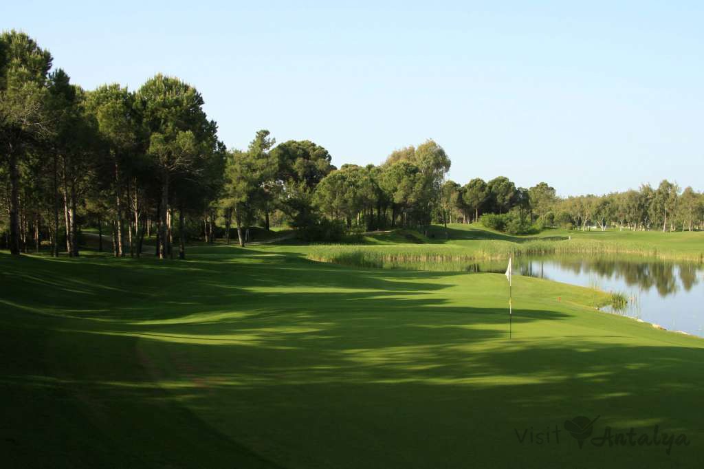 Pasha Golf Course