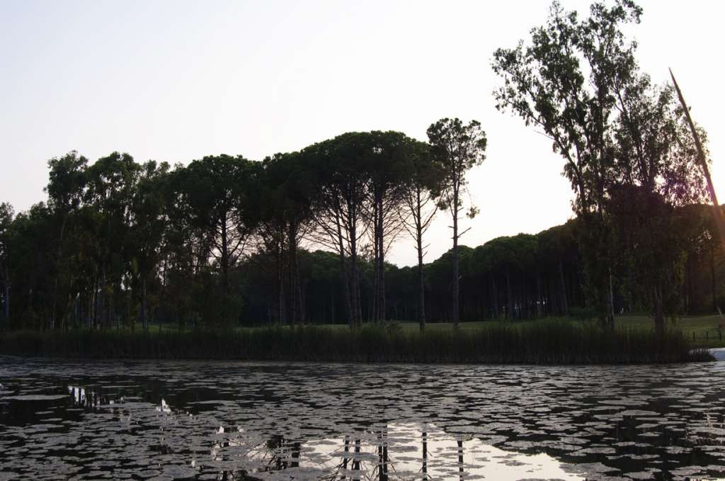 Sueno The Pines Golf Course