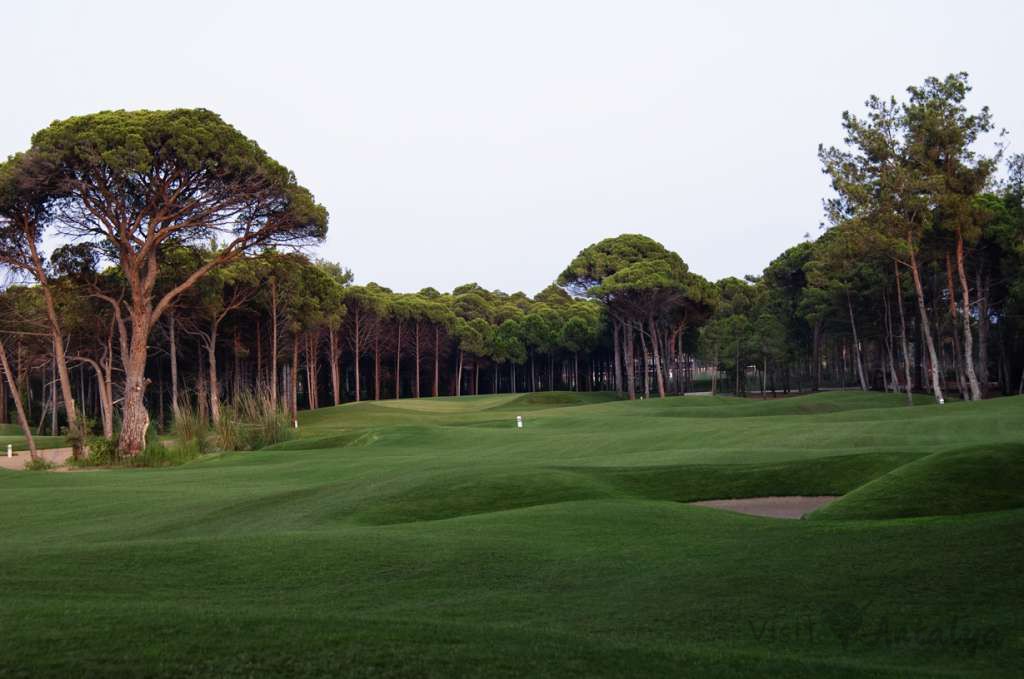 Sueno The Pines Golf Course