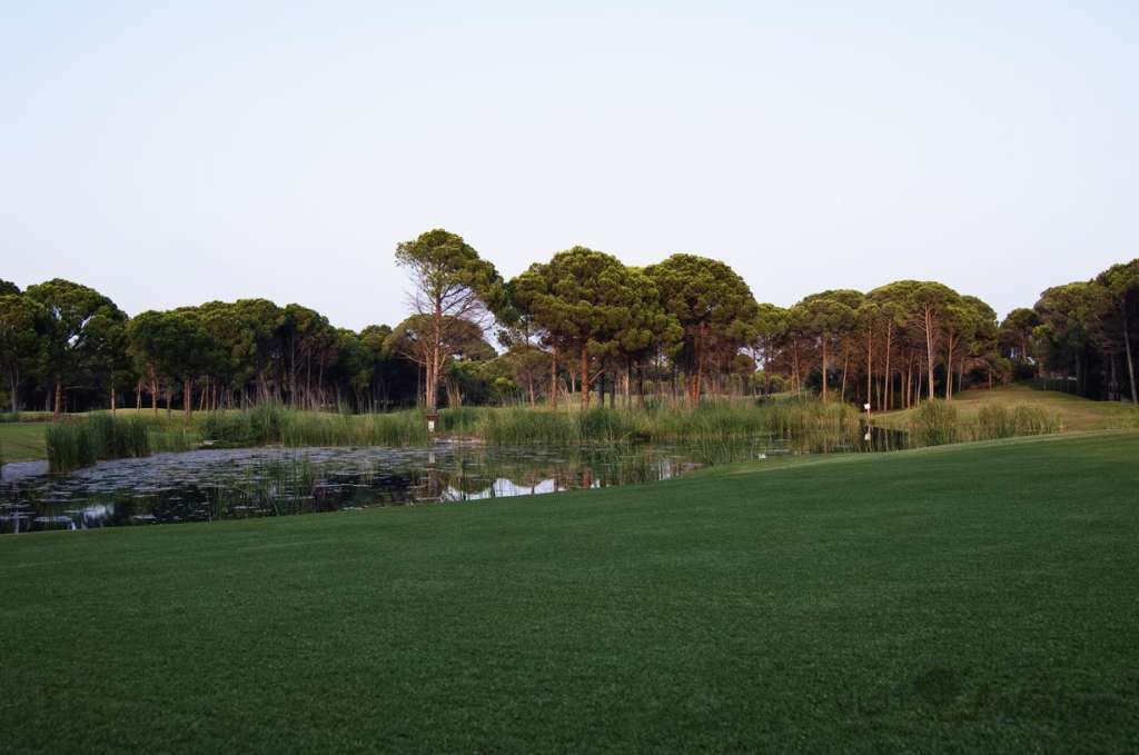 Sueno The Pines Golf Course