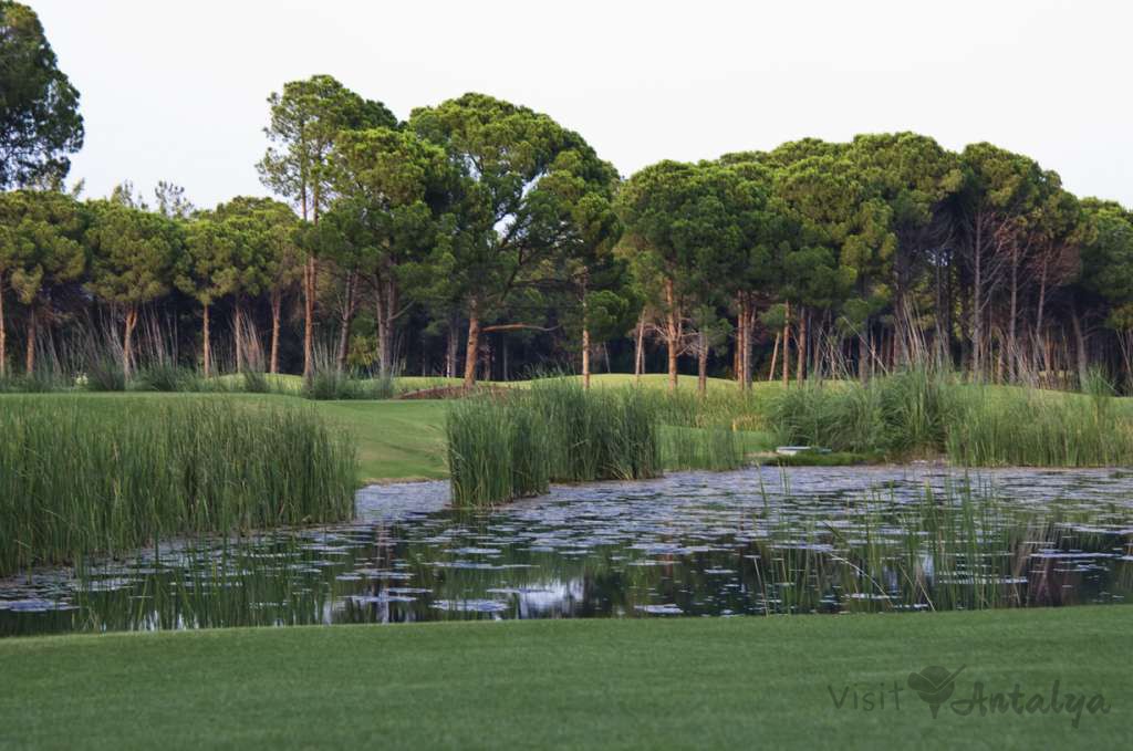 Sueno The Pines Golf Course