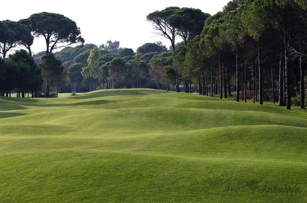 Sueno Hotel Golf Belek 7 Nights  6  Rounds of Golf at Pines or Dunes All Inclusive