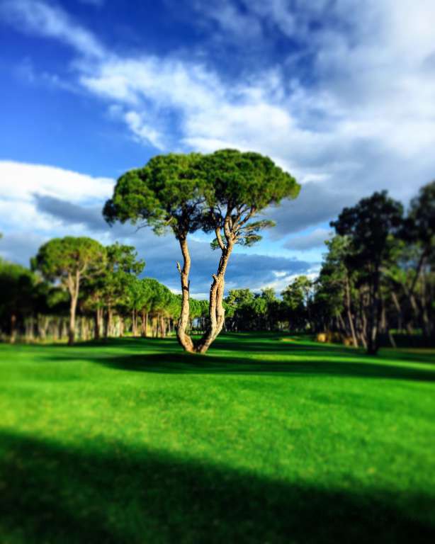 Kaya Palazzo Golf Club