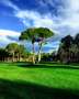 Kaya Belek 7 Nights 6 x Golf at Kaya Palazzo Golf Club