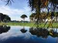 Kaya Palazzo Golf Resort 4 Nights 3x Golf 2x Kaya,1x Montgomerie